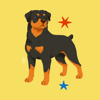 Rottweiler - Coleção Meu Pet