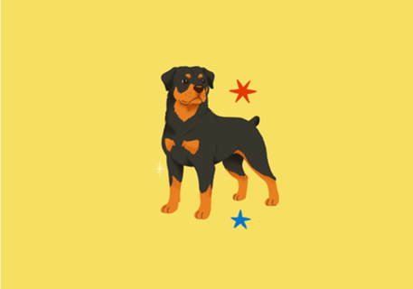 Rottweiler - Coleção Meu Pet