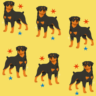 Rottweiler - Coleção Meu Pet