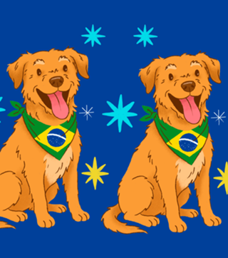 Fiapo de manga Caramelo - Coleção Meu Pet