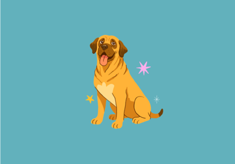 Fila Brasileiro - Coleção Meu Pet