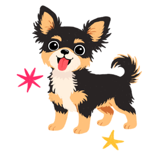 Chihuahua (pelo longo) - Coleção Meu Pet