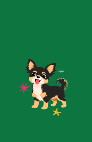 Chihuahua (pelo longo) - Coleção Meu Pet