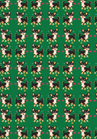 Chihuahua (pelo longo) - Coleção Meu Pet