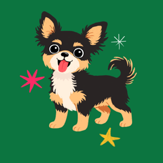 Chihuahua (pelo longo) - Coleção Meu Pet
