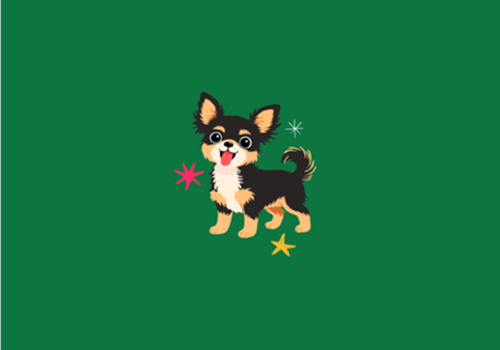 Chihuahua (pelo longo) - Coleção Meu Pet