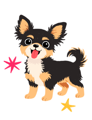 Chihuahua (pelo longo) - Coleção Meu Pet
