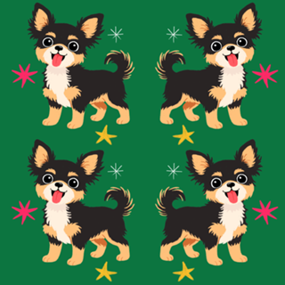 Chihuahua (pelo longo) - Coleção Meu Pet