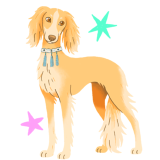 Saluki - Coleção Meu Pet