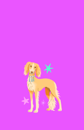 Saluki - Coleção Meu Pet