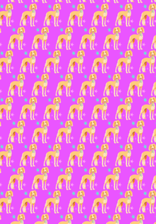 Saluki - Coleção Meu Pet