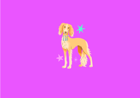 Saluki - Coleção Meu Pet