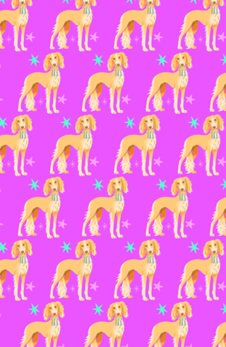 Saluki - Coleção Meu Pet