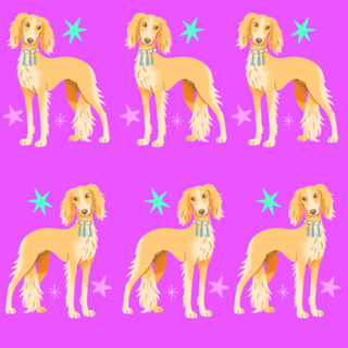 Saluki - Coleção Meu Pet