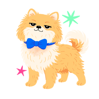 Lulu da Pomerânia (Spitz Alemão) - Coleção Meu Pet