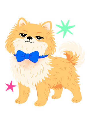 Lulu da Pomerânia (Spitz Alemão) - Coleção Meu Pet