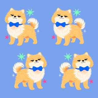 Lulu da Pomerânia (Spitz Alemão) - Coleção Meu Pet