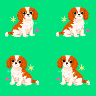 Cavalier - Coleção Meu Pet