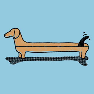 Dachsboard