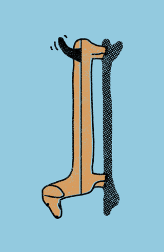 Dachsboard