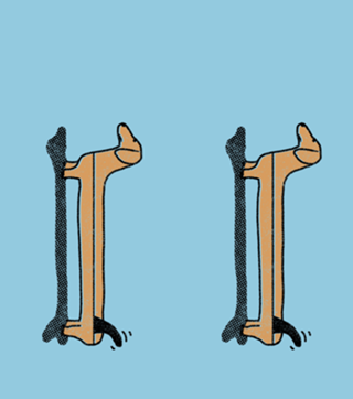 Dachsboard