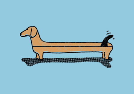 Dachsboard