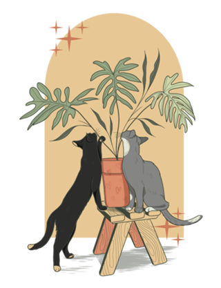 Gatos y Plantas