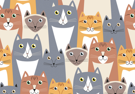 CatsCats