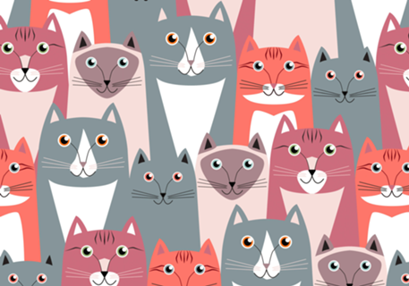 CatsCatsCats