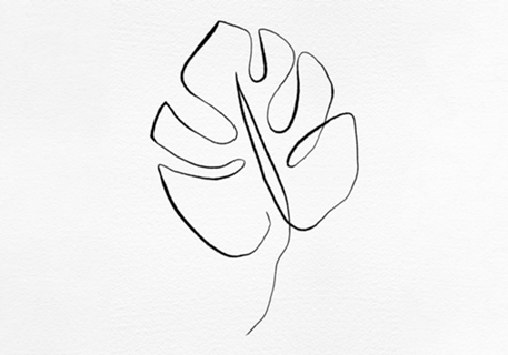 Fine Line Folhagem Minimalista 2 - Monstera