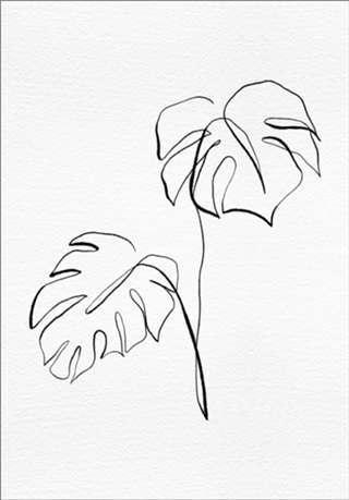 Fine Line Folhagem Minimalista 3 - Costela de Adão