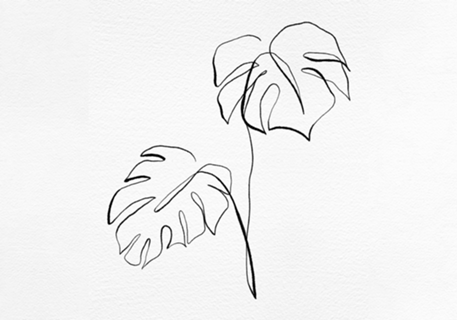 Fine Line Folhagem Minimalista 3 - Costela de Adão