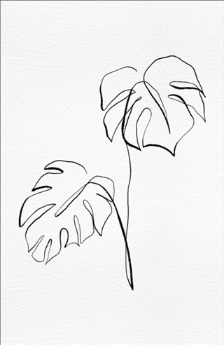 Fine Line Folhagem Minimalista 3 - Costela de Adão