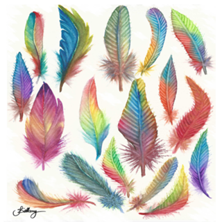 Colors Feather