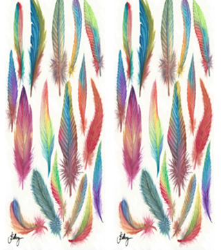 Colors Feather