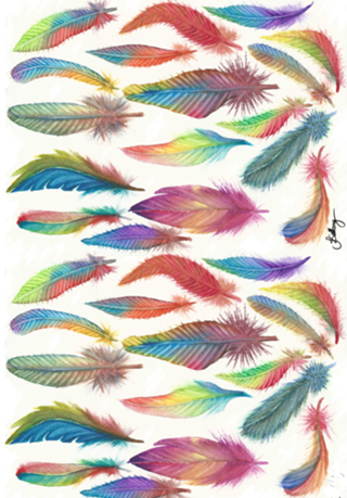 Colors Feather