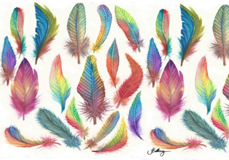 Colors Feather