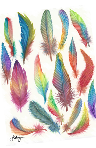 Colors Feather