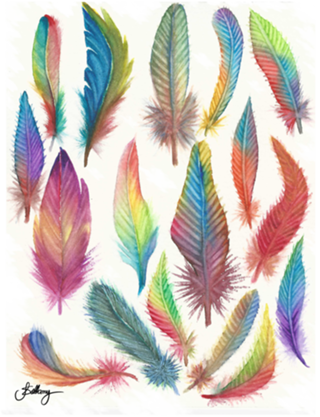 Colors Feather