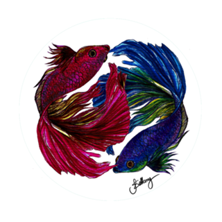 Beta Fish