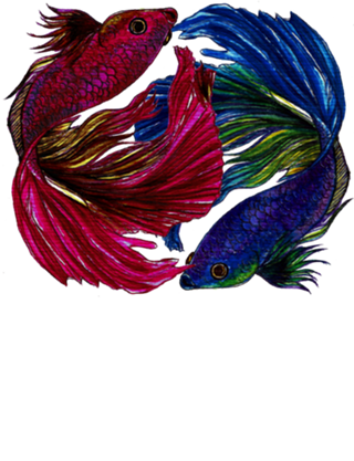 Beta Fish