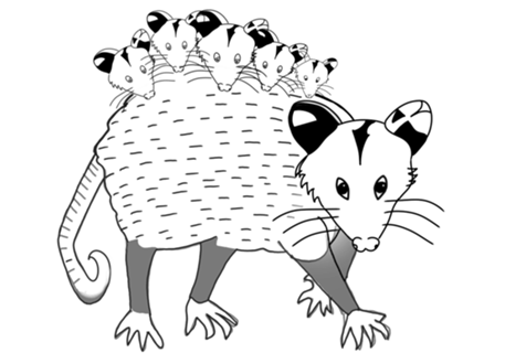 Gambá
