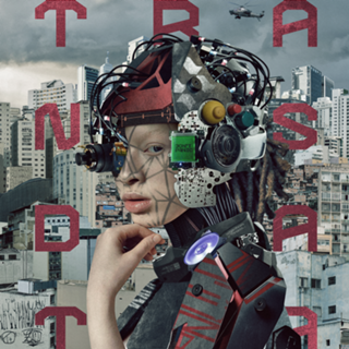 Transdata SP