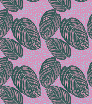 Maranta Riscada