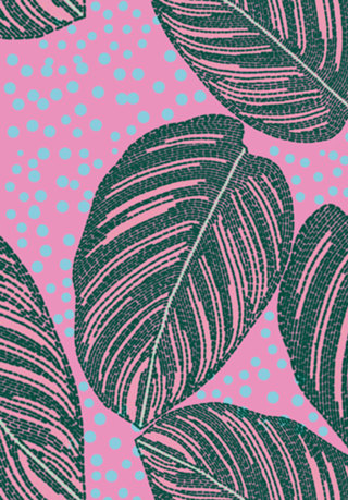 Maranta Riscada