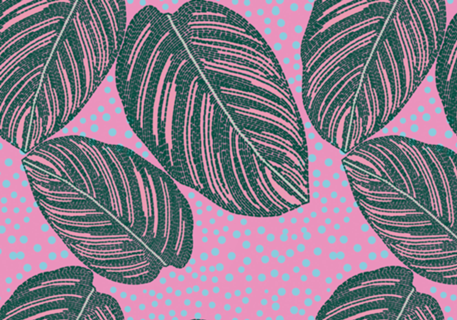 Maranta Riscada