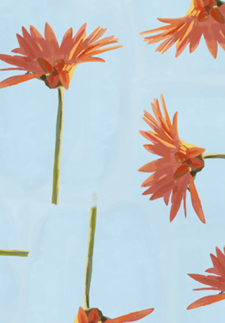Gérbera (flor)