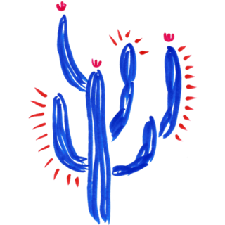 Cactos Frida