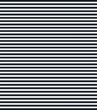 Black and White Vintage Thin Stripes