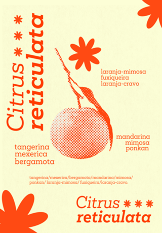 Citrus Reticulata